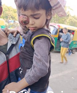 WhatsApp Image 2023-12-19 at 6.48.48 PM (1)